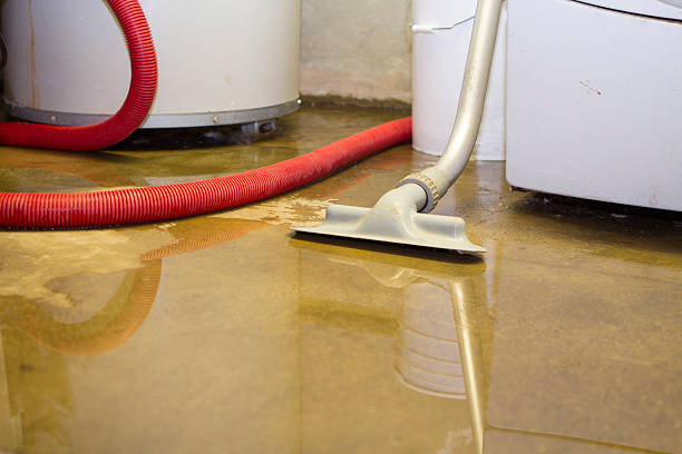 Best Professional water damage repair  in USA